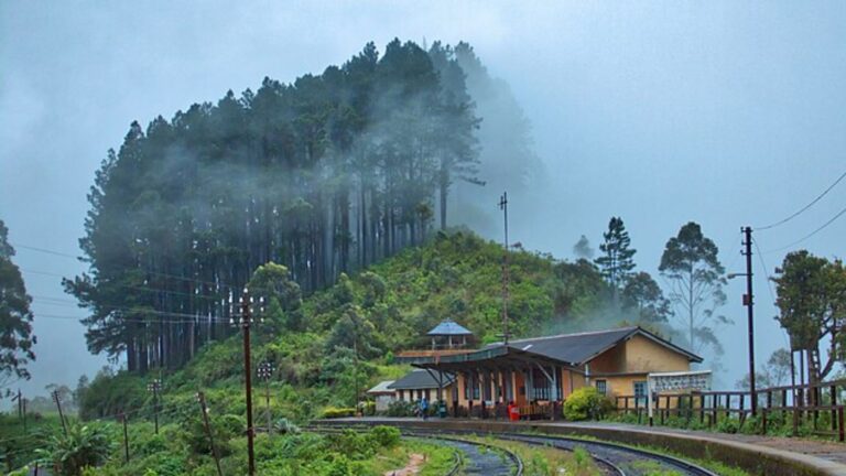 Top Hidden Gems in Sri Lanka: Unexplored Destinations for the Curious Traveler