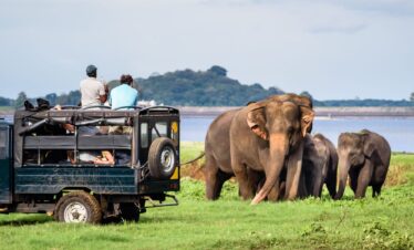 Wildlife Tour Itinerary in Sri Lanka