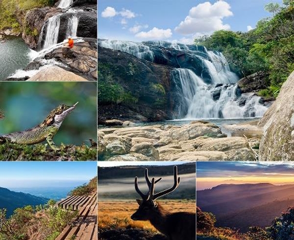 Sri Lanka adventure tours