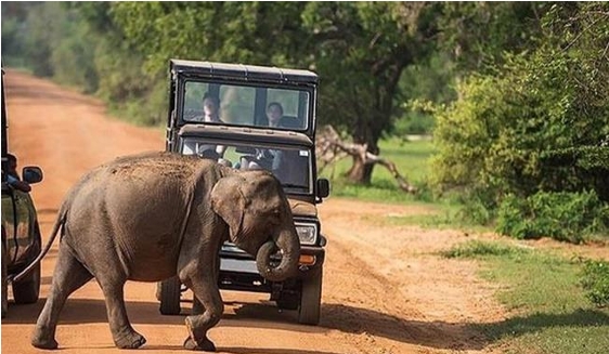 Sri Lanka adventure tours