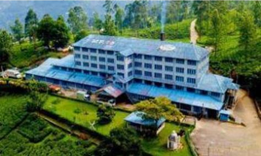 Sri Lanka honeymoon packages