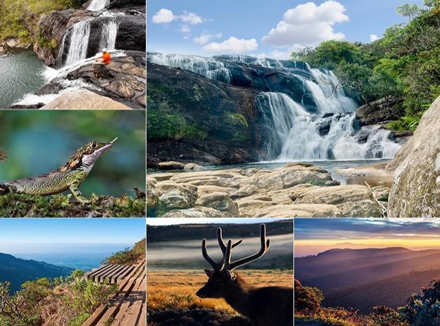 Sri Lanka honeymoon packages20