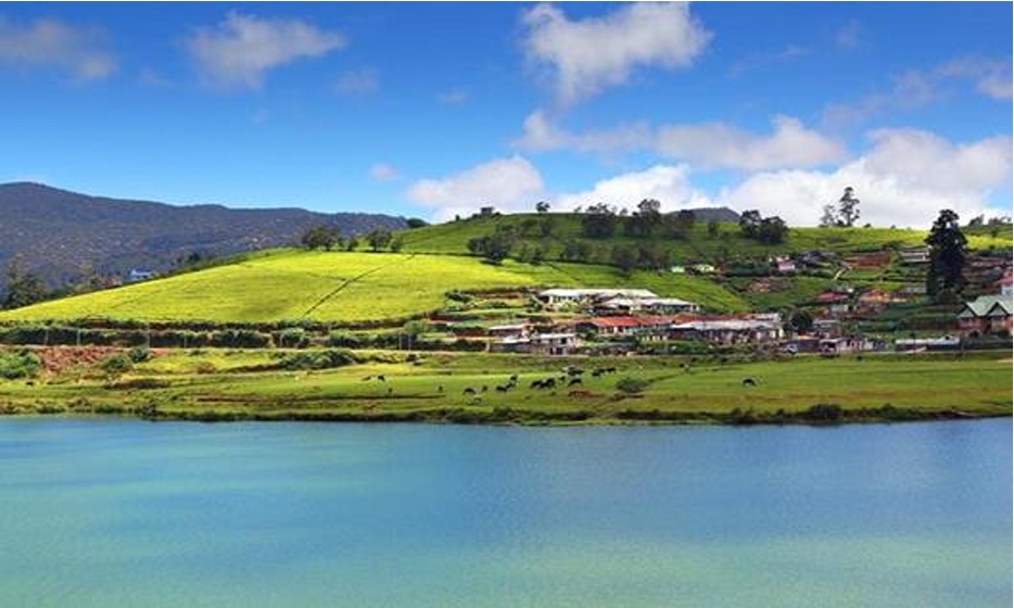 Sri Lanka honeymoon packages