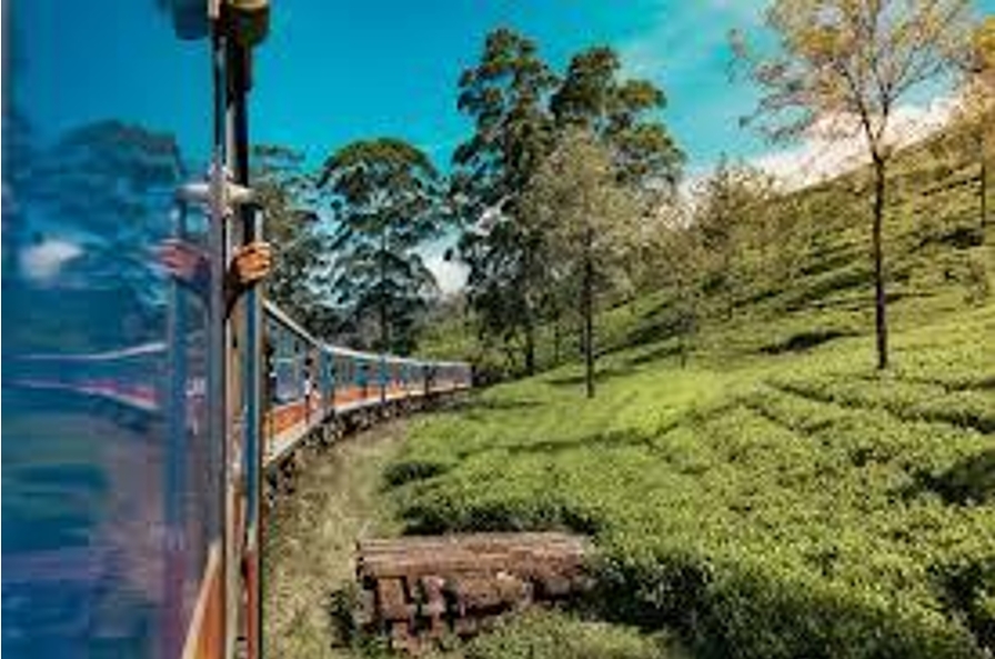 Sri Lanka honeymoon packages
