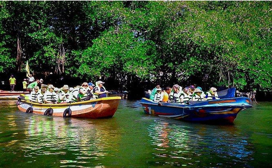 Sri Lanka honeymoon packages34