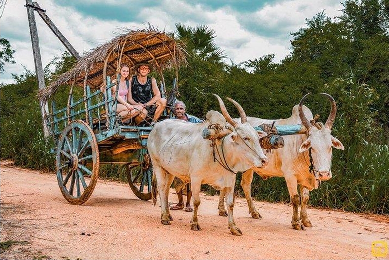 Sri Lanka honeymoon packages