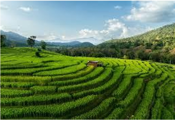 Sri Lanka tour packages from Malta