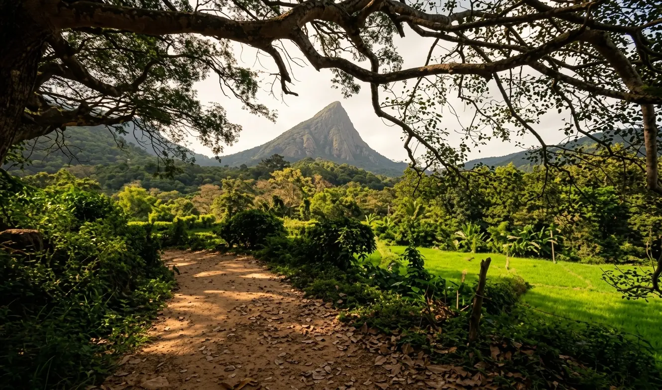 Sri Lanka tour packages from Malta