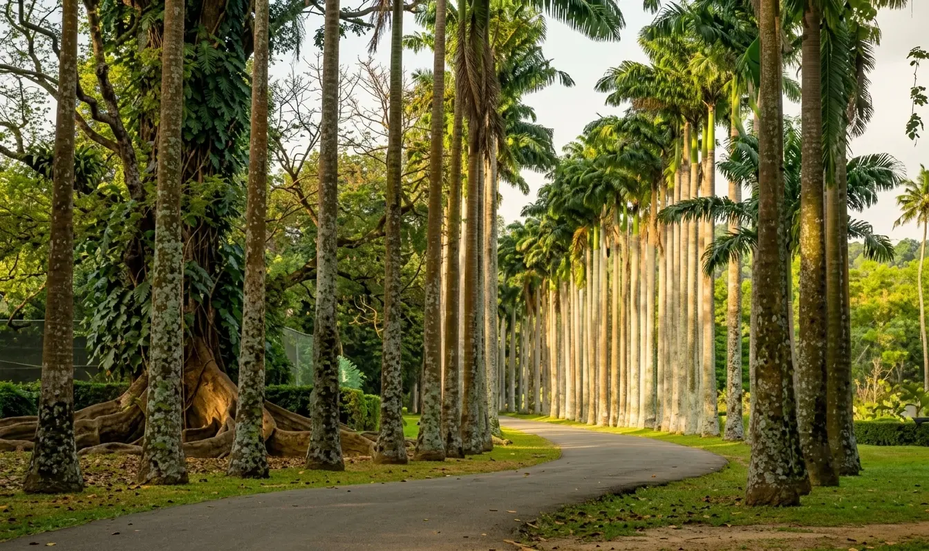 Sri Lanka tour packages from Malta