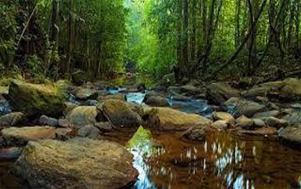 Sri Lanka tour packages from Malta