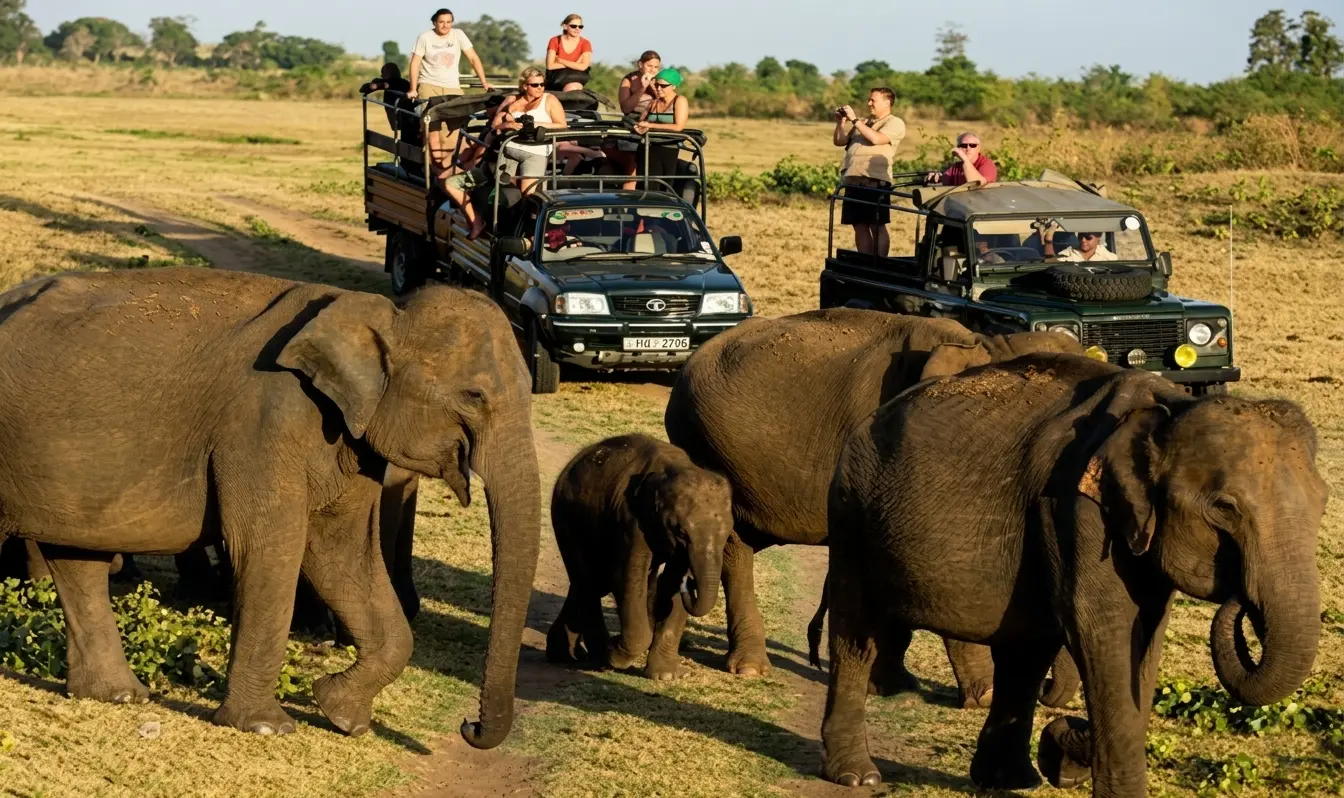 Sri Lanka tour packages from Malta