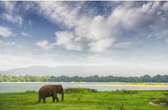 Sri Lanka tour packages from Malta
