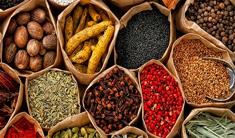 Sri Lanka tour packages from Malta