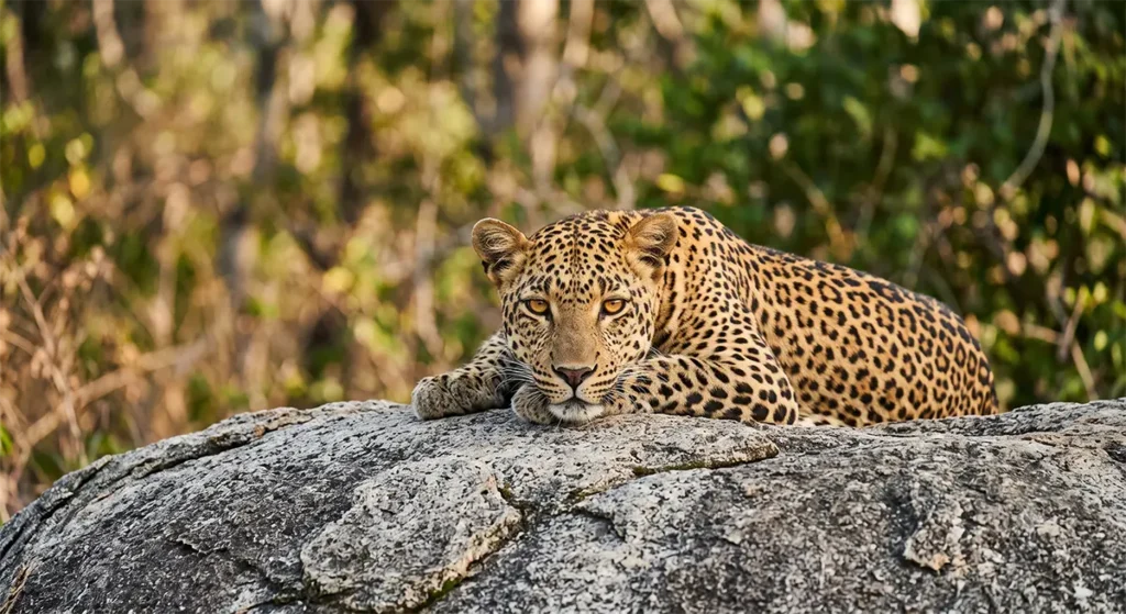 Sri Lanka adventure tour from Malta